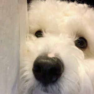 Meet your Posher, Jeanette